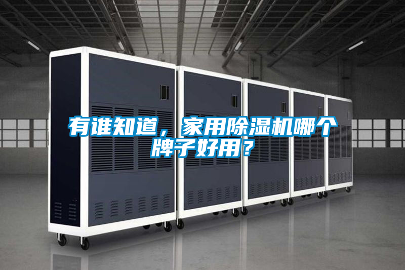 有誰知道，家用除濕機哪個牌子好用？