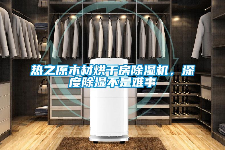 熱之原木材烘干房除濕機(jī),深度除濕不是難事