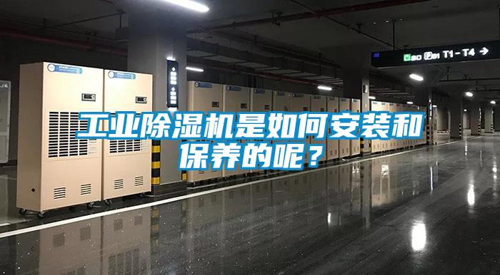 工業除濕機是如何安裝和保養的呢？