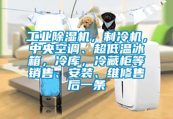 工業(yè)除濕機(jī),制冷機(jī),中央空調(diào)、超低溫冰箱,冷庫,冷藏柜等銷售、安裝、維修售后一條