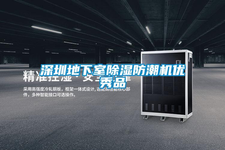 深圳地下室除濕防潮機優秀品