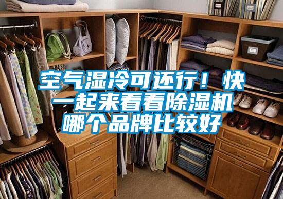 空氣濕冷可還行!快一起來看看除濕機(jī)哪個品牌比較好