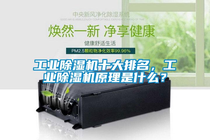 工業除濕機十大排名，工業除濕機原理是什么？