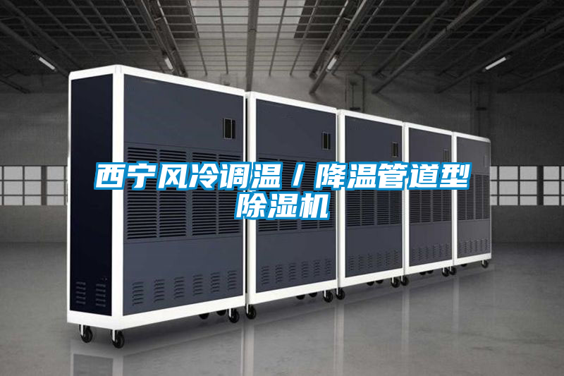 西寧風(fēng)冷調(diào)溫/降溫管道型除濕機(jī)