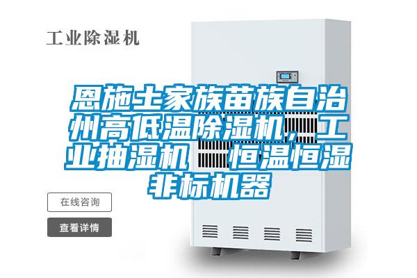 恩施土家族苗族自治州高低溫除濕機，工業(yè)抽濕機  恒溫恒濕非標機器