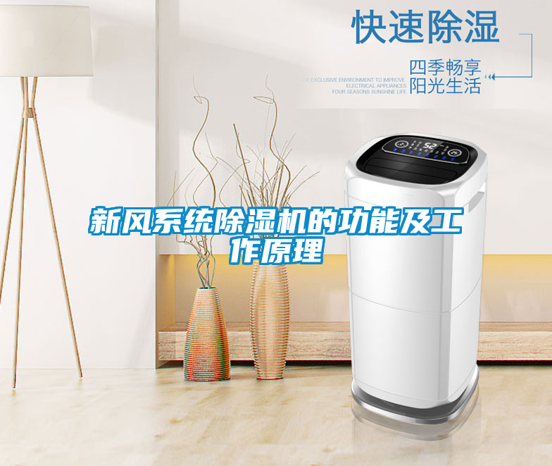 新風(fēng)系統(tǒng)除濕機的功能及工作原理
