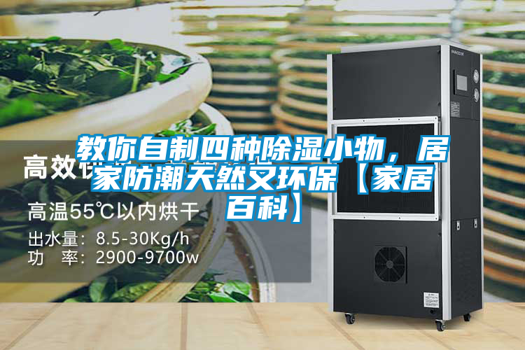 教你自制四種除濕小物，居家防潮天然又環?！炯揖影倏啤?/></p>
						    <p style=