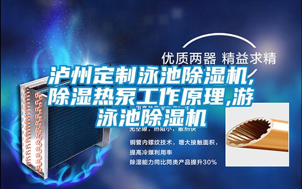 瀘州定制泳池除濕機,除濕熱泵工作原理,游泳池除濕機