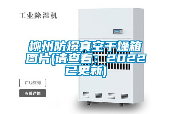 柳州防爆真空干燥箱圖片(請(qǐng)查看:2022已更新)