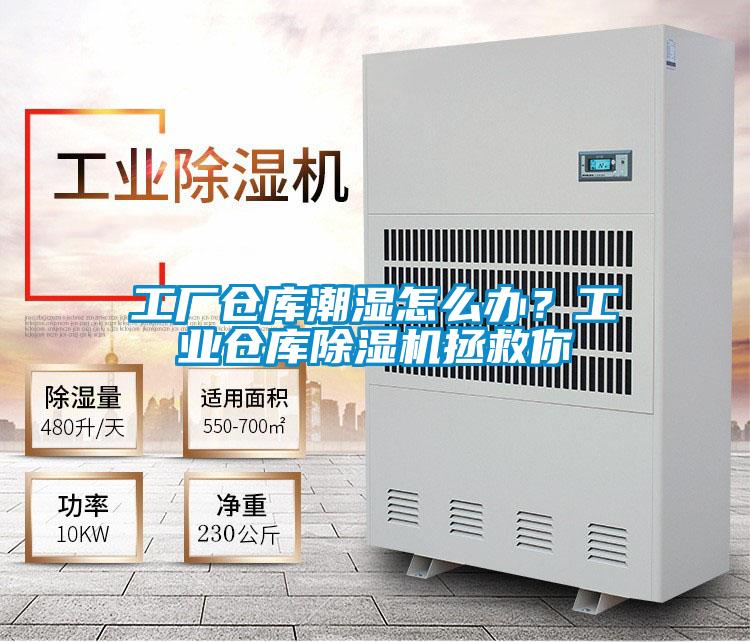 工廠倉庫潮濕怎么辦?工業(yè)倉庫除濕機拯救你