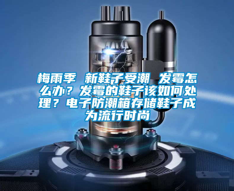 梅雨季 新鞋子受潮 發(fā)霉怎么辦?發(fā)霉的鞋子該如何處理?電子防潮箱存儲(chǔ)鞋子成為流行時(shí)尚