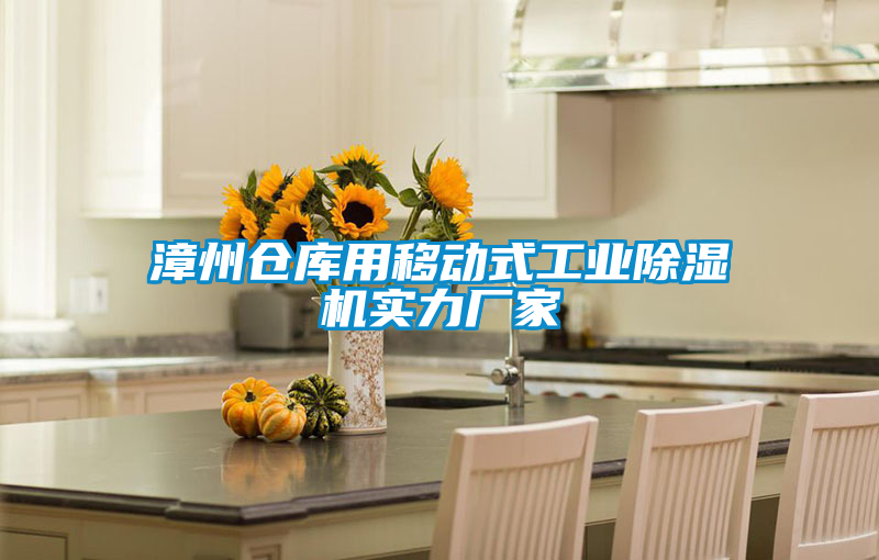 漳州倉庫用移動式工業(yè)除濕機(jī)實力廠家