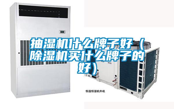 抽濕機(jī)什么牌子好(除濕機(jī)買什么牌子的好)