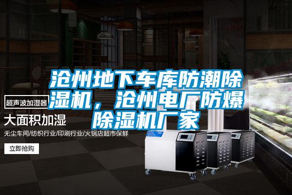 滄州地下車庫防潮除濕機(jī)，滄州電廠防爆除濕機(jī)廠家