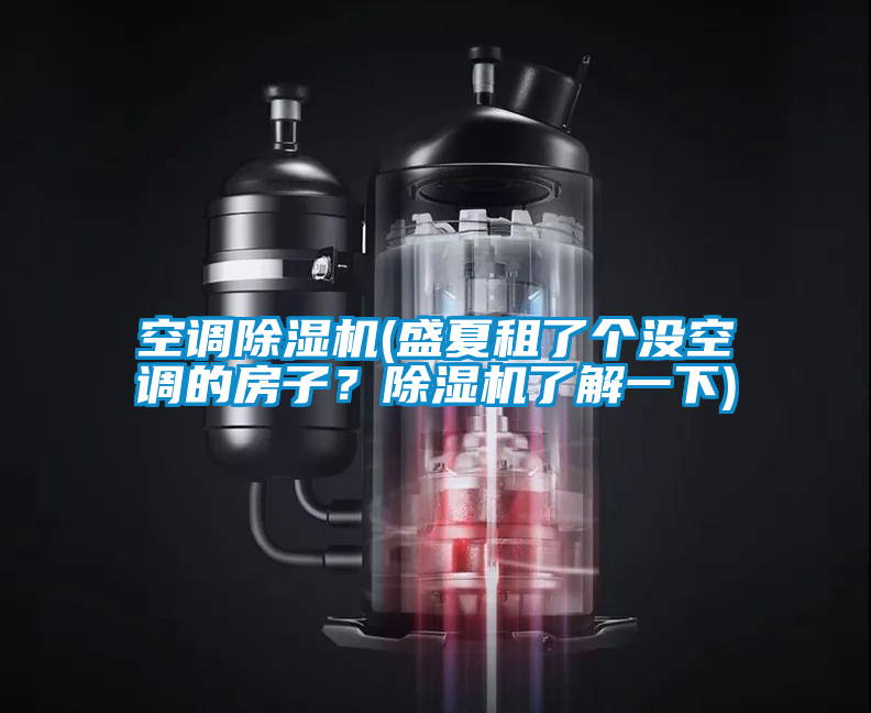 空調除濕機(盛夏租了個沒空調的房子?除濕機了解一下)