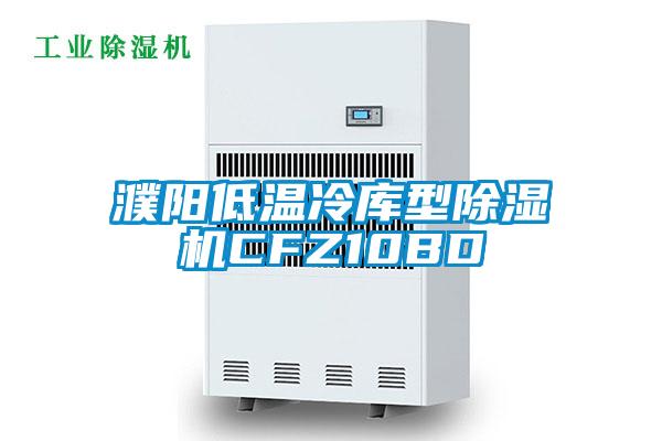 濮陽(yáng)低溫冷庫(kù)型除濕機(jī)CFZ10BD