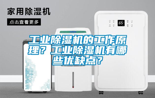 工業除濕機的工作原理？工業除濕機有哪些優缺點？