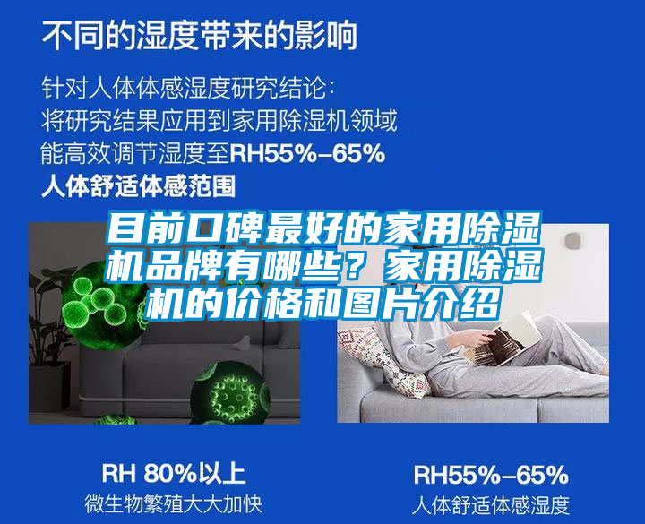 目前口碑最好的家用除濕機品牌有哪些？家用除濕機的價格和圖片介紹
