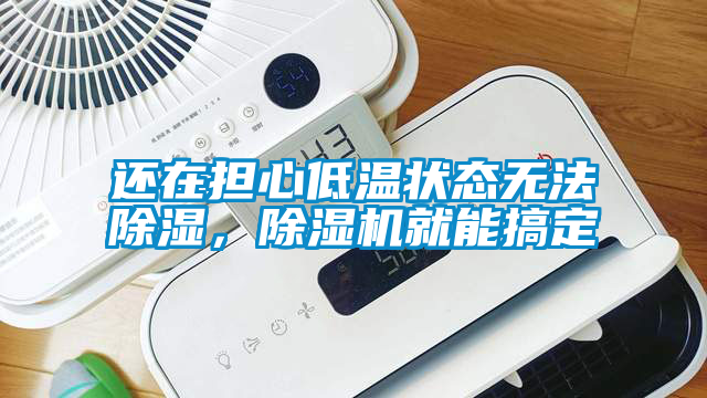 還在擔心低溫狀態無法除濕,除濕機就能搞定