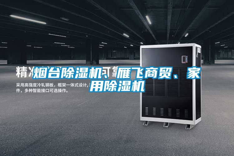 煙臺除濕機、雁飛商貿(mào)、家用除濕機
