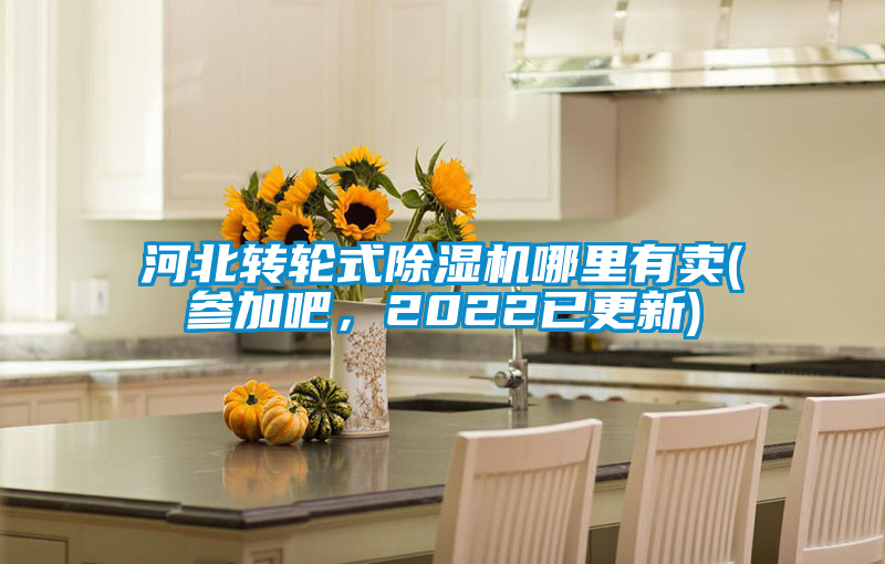河北轉輪式除濕機哪里有賣(參加吧,2022已更新)