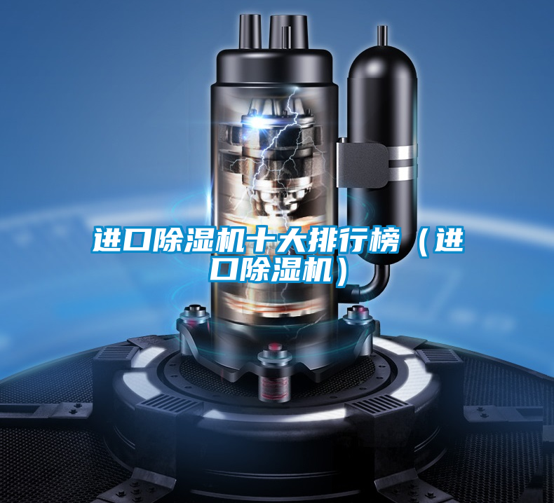 進(jìn)口除濕機(jī)十大排行榜(進(jìn)口除濕機(jī))