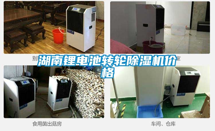 湖南鋰電池轉(zhuǎn)輪除濕機(jī)價格