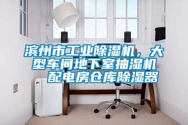 濱州市工業(yè)除濕機(jī),大型車(chē)間地下室抽濕機(jī) 配電房倉(cāng)庫(kù)除濕器