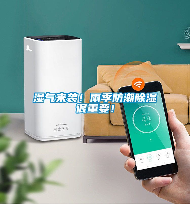 濕氣來(lái)襲！雨季防潮除濕很重要！