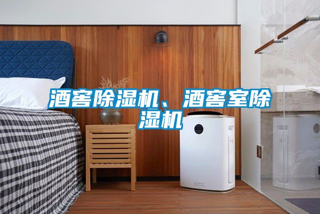 酒窖除濕機(jī)、酒窖室除濕機(jī)