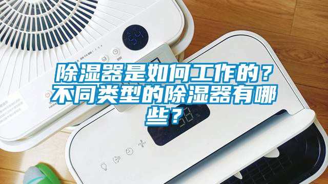 除濕器是如何工作的？不同類型的除濕器有哪些？