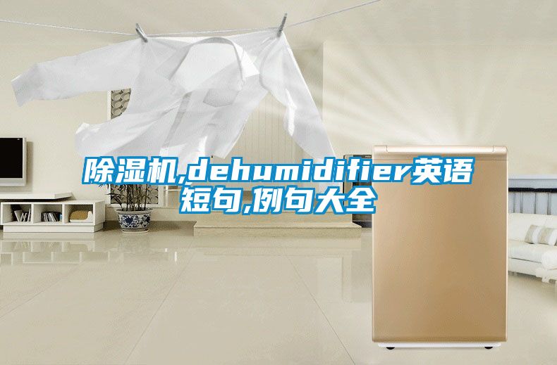 除濕機(jī),dehumidifier英語短句,例句大全