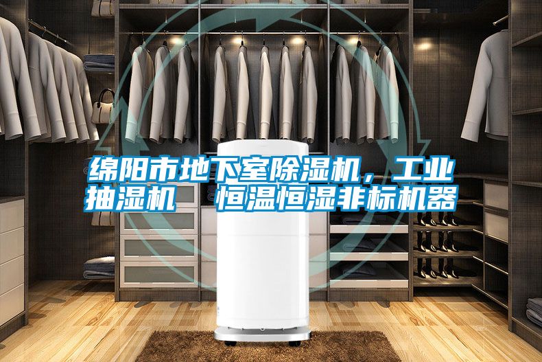 綿陽市地下室除濕機，工業(yè)抽濕機  恒溫恒濕非標(biāo)機器