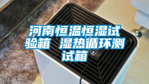 河南恒溫恒濕試驗(yàn)箱 濕熱循環(huán)測試箱