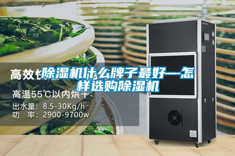 除濕機(jī)什么牌子最好—怎樣選購(gòu)除濕機(jī)