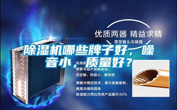除濕機(jī)哪些牌子好,噪音小,質(zhì)量好?