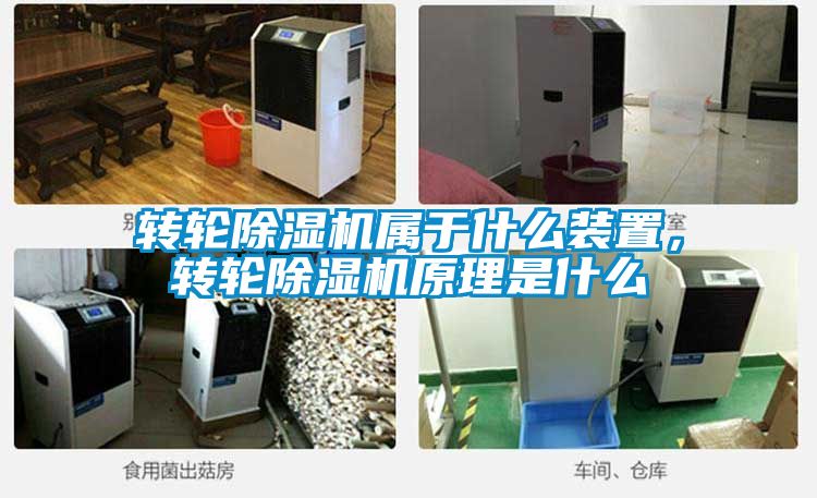 轉輪除濕機屬于什么裝置,轉輪除濕機原理是什么