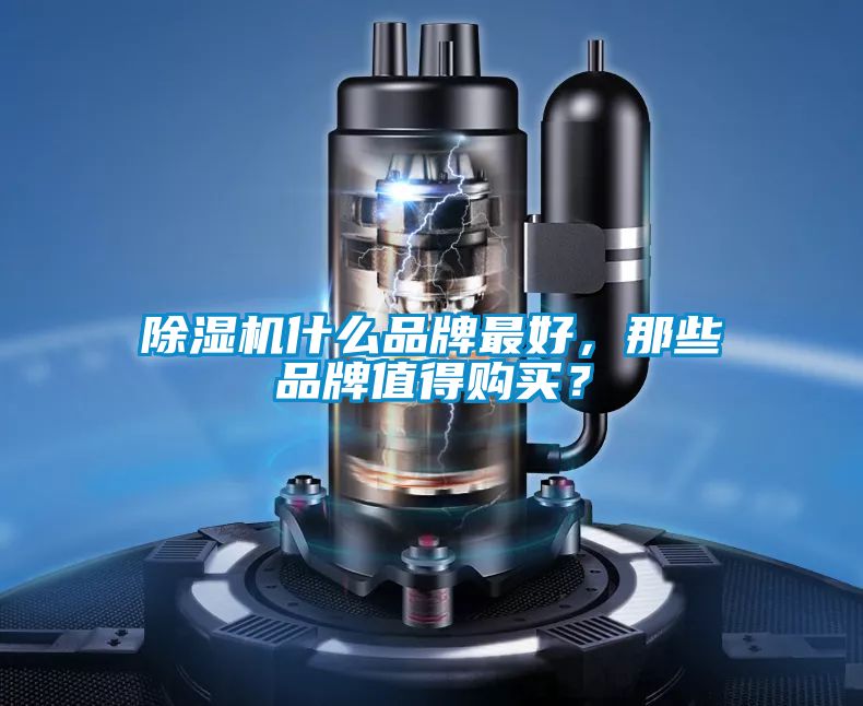除濕機(jī)什么品牌最好，那些品牌值得購(gòu)買(mǎi)？