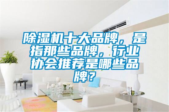 除濕機(jī)十大品牌，是指那些品牌，行業(yè)協(xié)會(huì)推薦是哪些品牌？