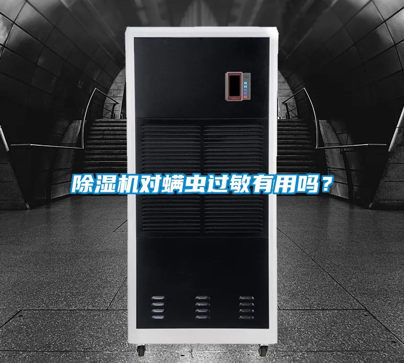 除濕機對螨蟲過敏有用嗎?