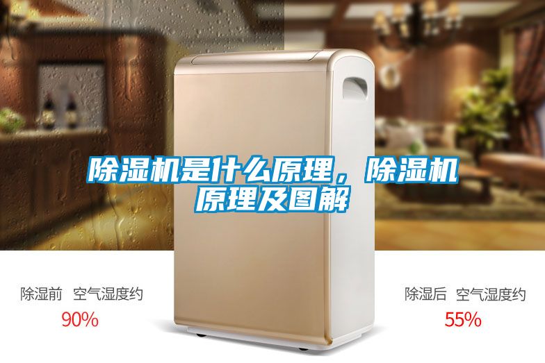除濕機是什么原理,除濕機原理及圖解