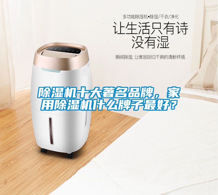 除濕機(jī)十大著名品牌，家用除濕機(jī)什么牌子最好？