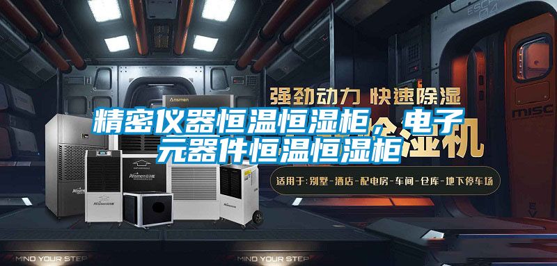 精密儀器恒溫恒濕柜,電子元器件恒溫恒濕柜