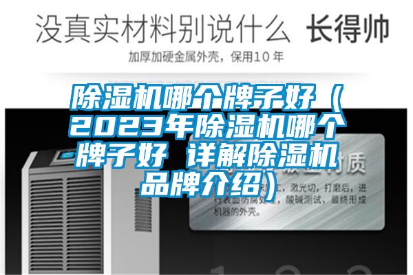 除濕機哪個牌子好(2023年除濕機哪個牌子好 詳解除濕機品牌介紹)