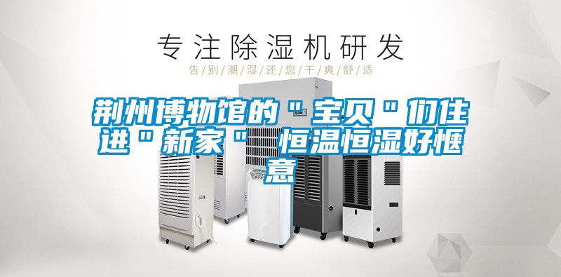 荊州博物館的"寶貝"們住進"新家" 恒溫恒濕好愜意