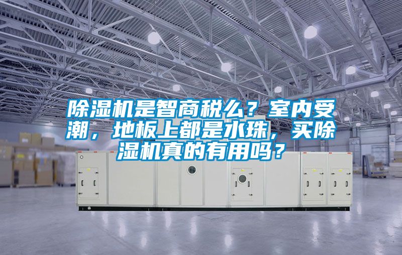 除濕機是智商稅么?室內受潮,地板上都是水珠,買除濕機真的有用嗎?