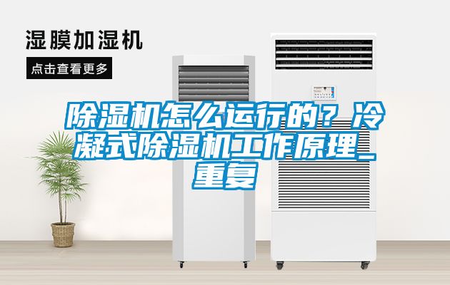 除濕機怎么運行的？冷凝式除濕機工作原理_重復(fù)