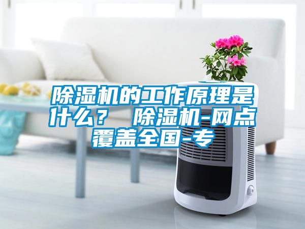 除濕機的工作原理是什么？ 除濕機-網點覆蓋全國-專