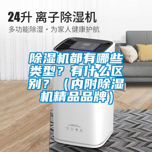 除濕機都有哪些類型?有什么區別?(內附除濕機精品品牌)