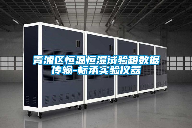 青浦區(qū)恒溫恒濕試驗箱數(shù)據(jù)傳輸-標(biāo)承實(shí)驗儀器
